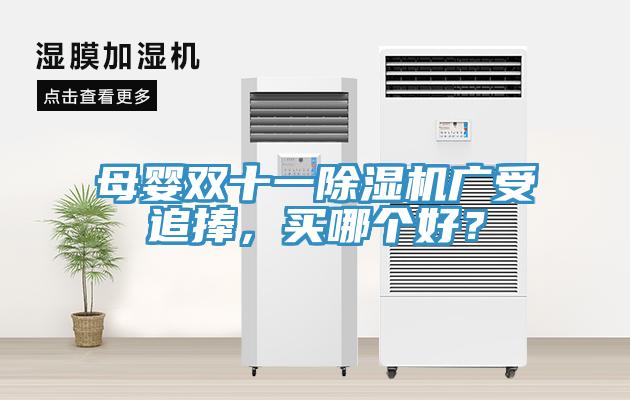 母嬰雙十一除濕機廣受追捧，買哪個好？