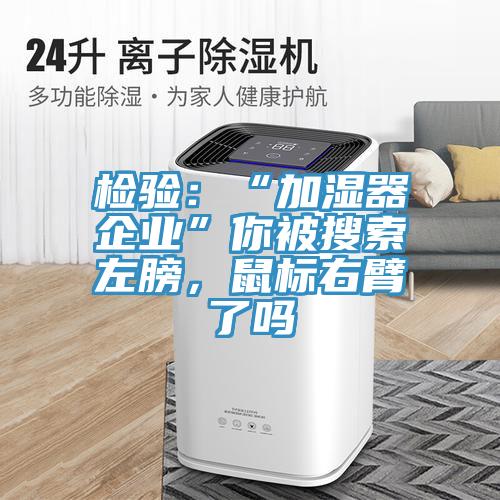檢驗：“加濕器企業(yè)”你被搜索左膀，鼠標(biāo)右臂了嗎