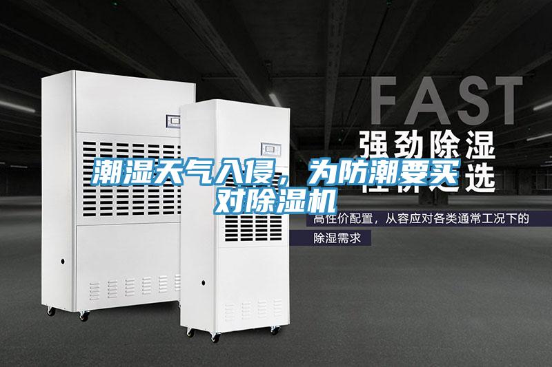 潮濕天氣入侵，為防潮要買對除濕機