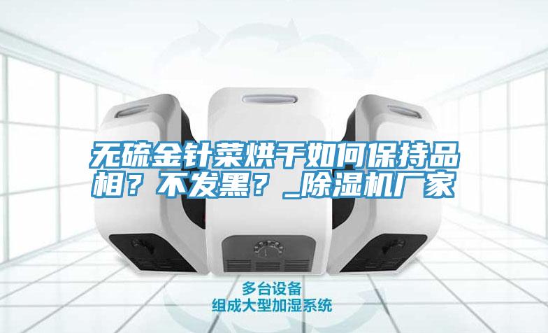 無硫金針菜烘干如何保持品相？不發(fā)黑？_除濕機廠家