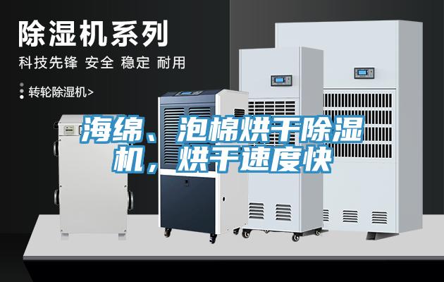 海綿、泡棉烘干除濕機(jī)，烘干速度快