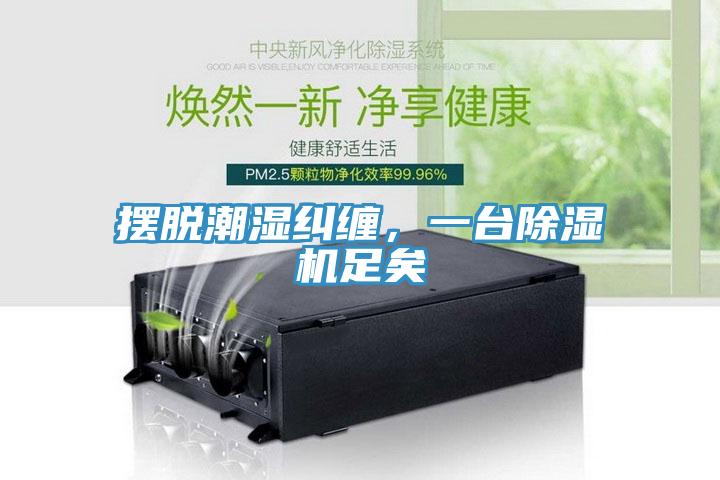 擺脫潮濕糾纏，一臺(tái)除濕機(jī)足矣