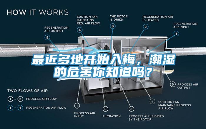 最近多地開始入梅，潮濕的危害你知道嗎？