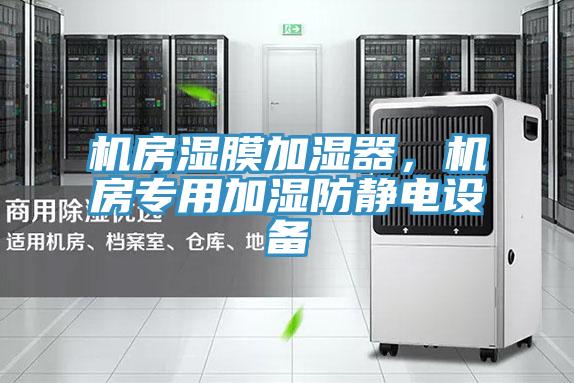 機(jī)房濕膜加濕器，機(jī)房專用加濕防靜電設(shè)備