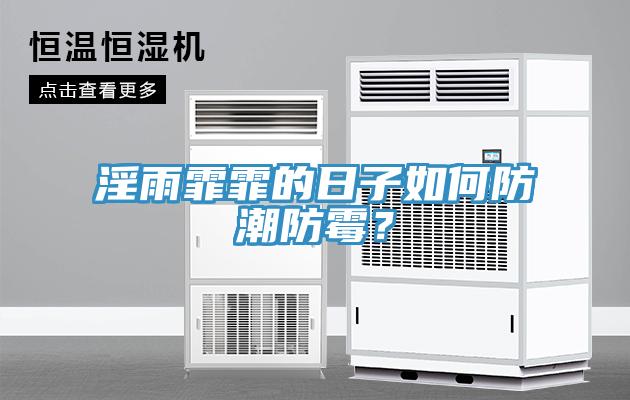 淫雨霏霏的日子如何防潮防霉？