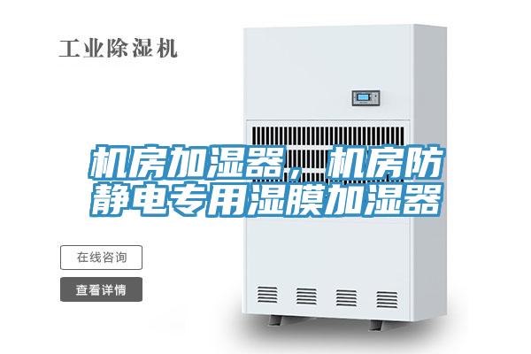 機(jī)房加濕器，機(jī)房防靜電專用濕膜加濕器