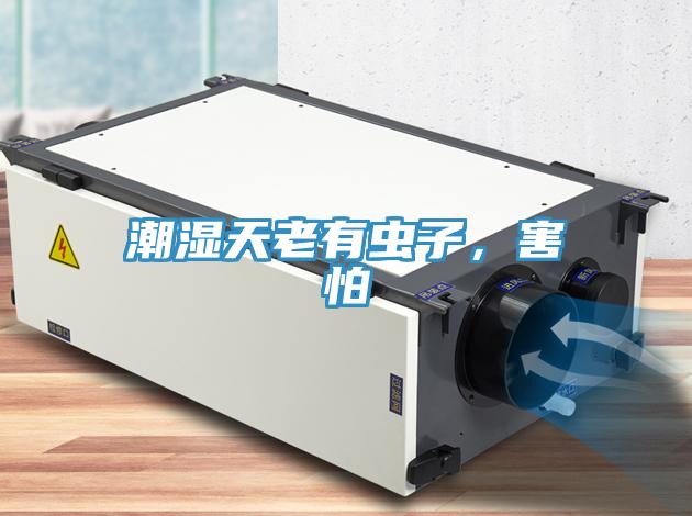 潮濕天老有蟲子，害怕