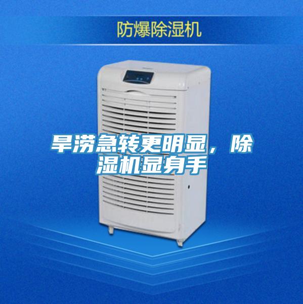 旱澇急轉更明顯，除濕機顯身手