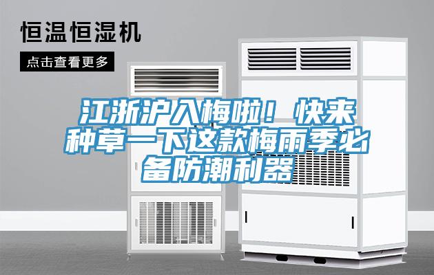 江浙滬入梅啦！快來種草一下這款梅雨季必備防潮利器