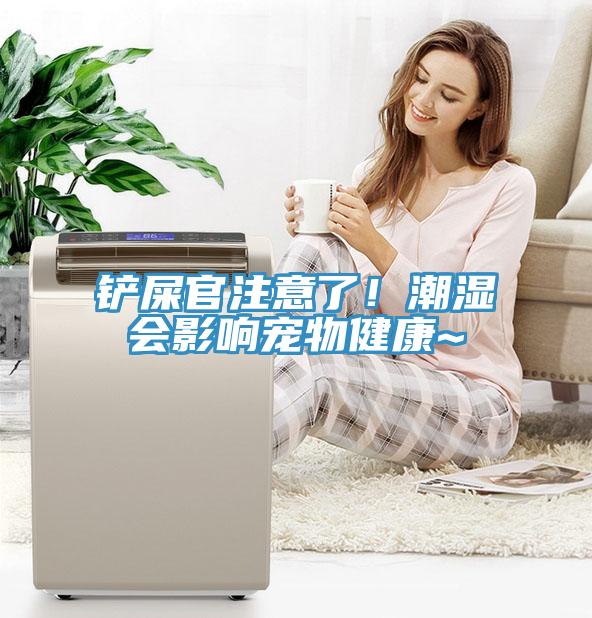 鏟屎官注意了！潮濕會影響寵物健康~