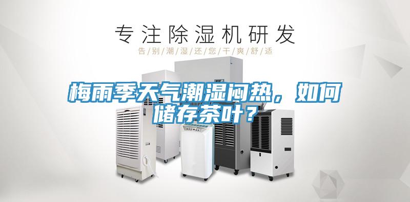 梅雨季天氣潮濕悶熱，如何儲(chǔ)存茶葉？