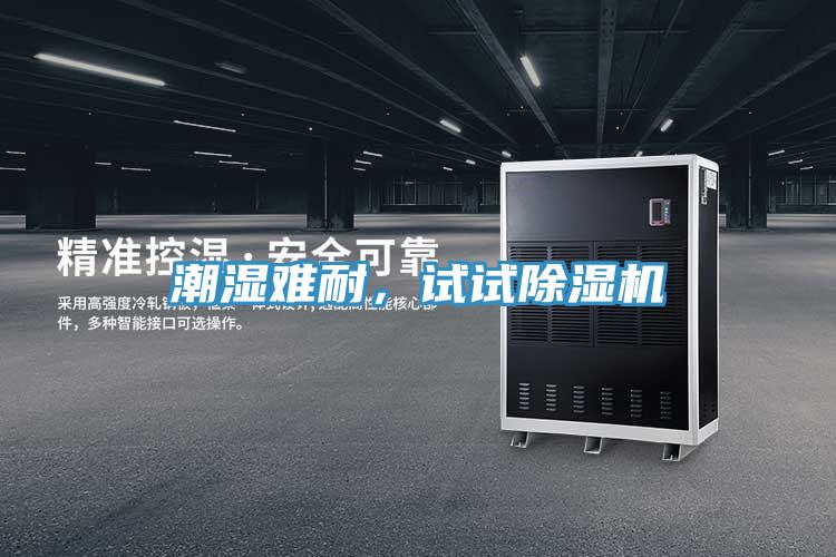 潮濕難耐，試試除濕機(jī)