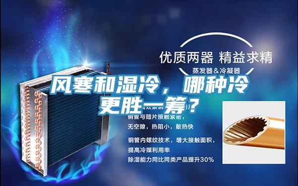 風(fēng)寒和濕冷，哪種冷更勝一籌？