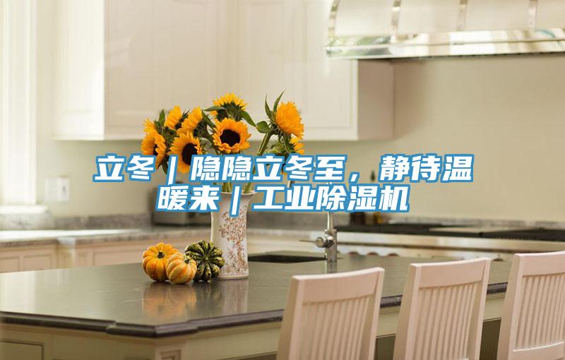 立冬｜隱隱立冬至，靜待溫暖來｜工業(yè)除濕機(jī)
