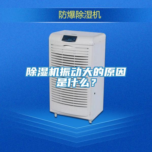 除濕機(jī)振動(dòng)大的原因是什么？