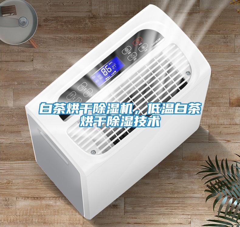 白茶烘干除濕機，低溫白茶烘干除濕技術