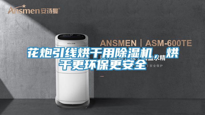 花炮引線烘干用除濕機，烘干更環(huán)保更安全