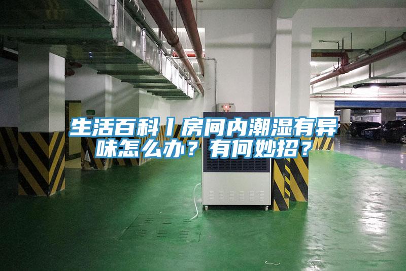 生活百科丨房間內(nèi)潮濕有異味怎么辦？有何妙招？