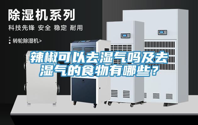 辣椒可以去濕氣嗎及去濕氣的食物有哪些？