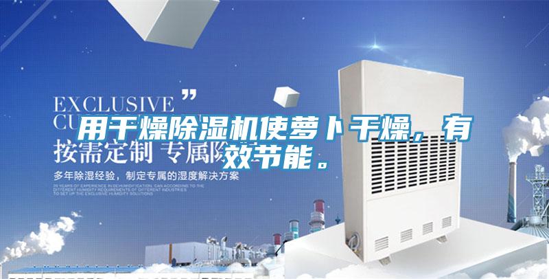 用干燥除濕機使蘿卜干燥，有效節(jié)能。