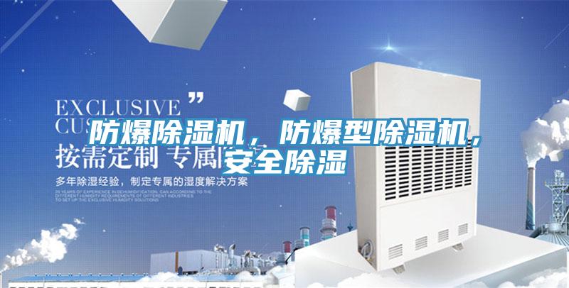 防爆除濕機(jī)，防爆型除濕機(jī)，安全除濕
