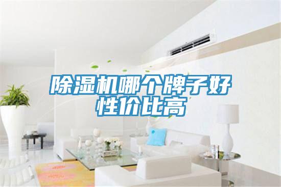 除濕機(jī)哪個牌子好性價(jià)比高