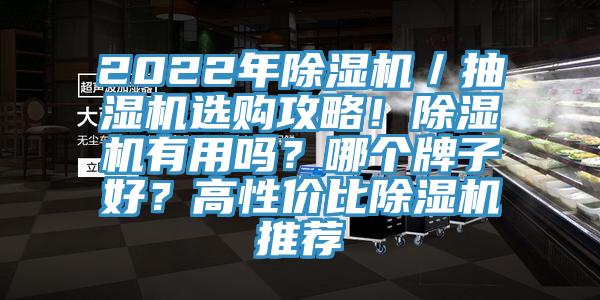 2022年除濕機(jī)／抽濕機(jī)選購攻略！除濕機(jī)有用嗎？哪個(gè)牌子好？高性價(jià)比除濕機(jī)推薦