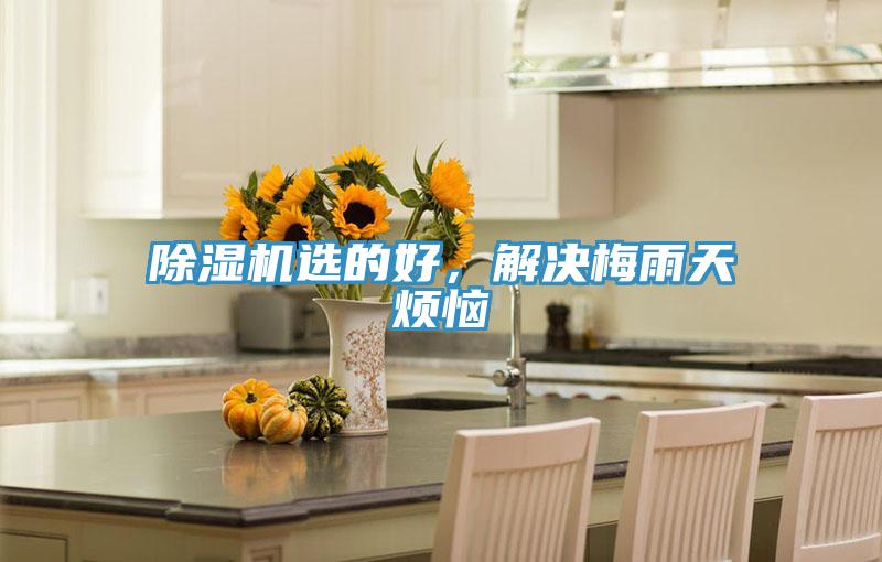 除濕機(jī)選的好，解決梅雨天煩惱