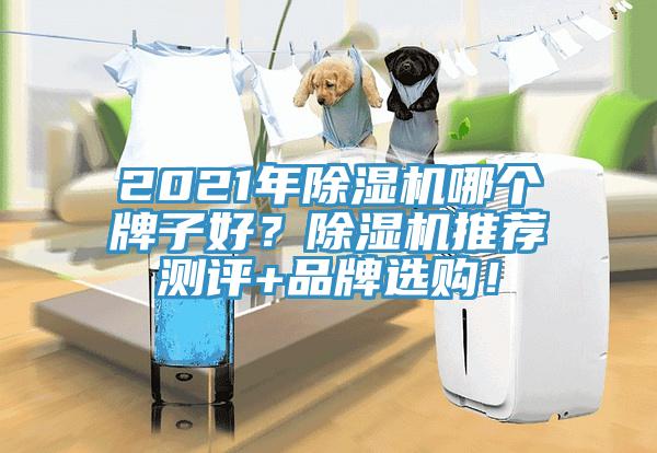 2021年除濕機(jī)哪個(gè)牌子好？除濕機(jī)推薦測(cè)評(píng)+品牌選購(gòu)！