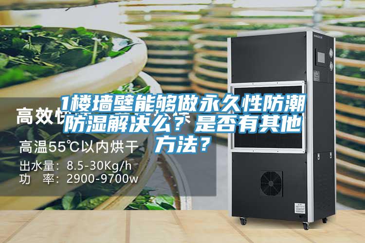 1樓墻壁能夠做永久性防潮防濕解決么？是否有其他方法？