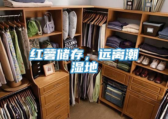 紅薯儲(chǔ)存，遠(yuǎn)離潮濕地