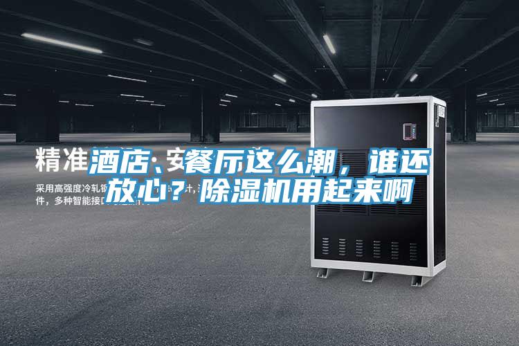酒店、餐廳這么潮，誰還放心？除濕機(jī)用起來啊