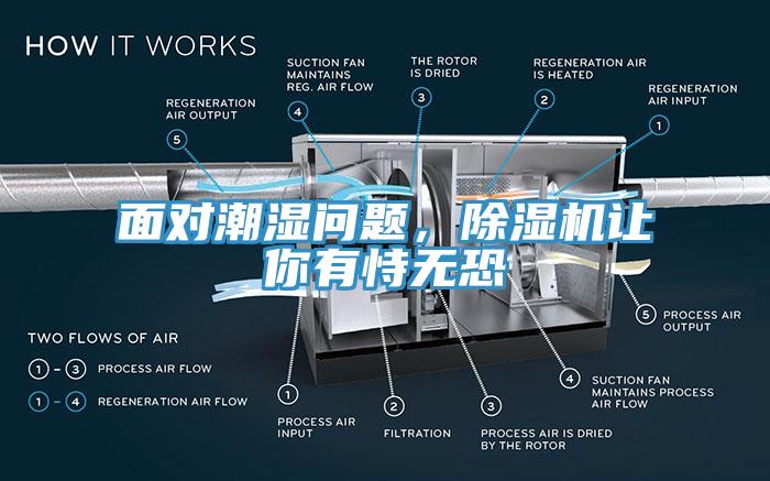 面對潮濕問題，除濕機讓你有恃無恐