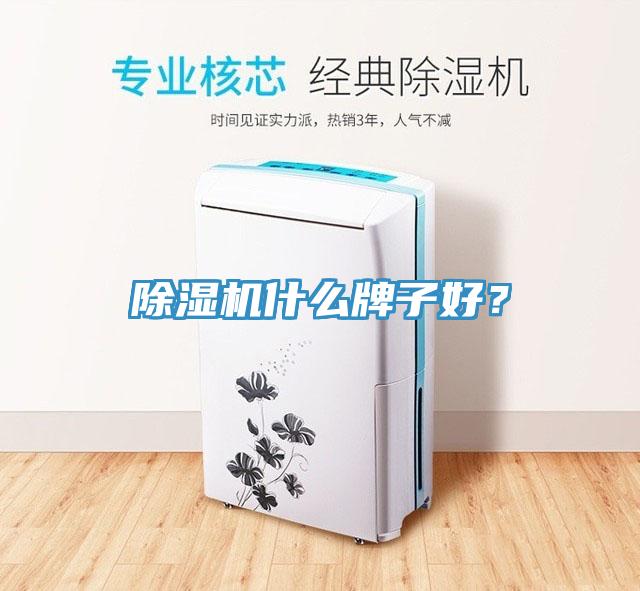 除濕機什么牌子好？