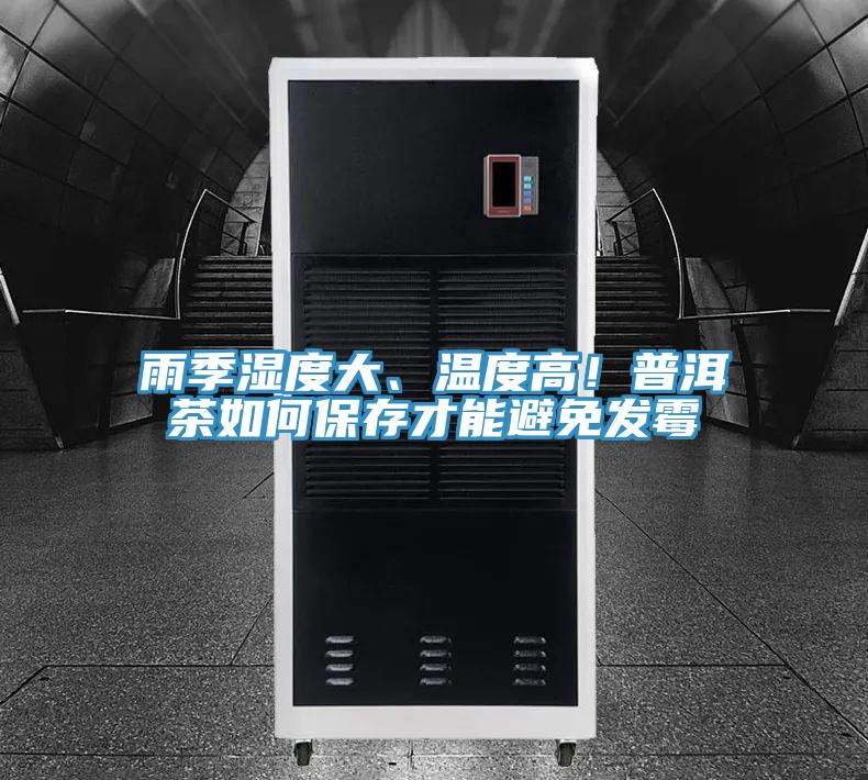 雨季濕度大、溫度高！普洱茶如何保存才能避免發(fā)霉