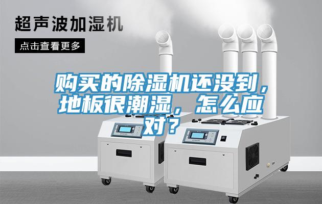 購買的除濕機還沒到，地板很潮濕，怎么應(yīng)對？