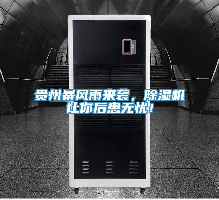 貴州暴風(fēng)雨來襲，除濕機(jī)讓你后患無憂！