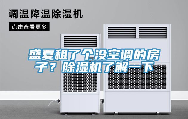 盛夏租了個沒空調(diào)的房子？除濕機了解一下