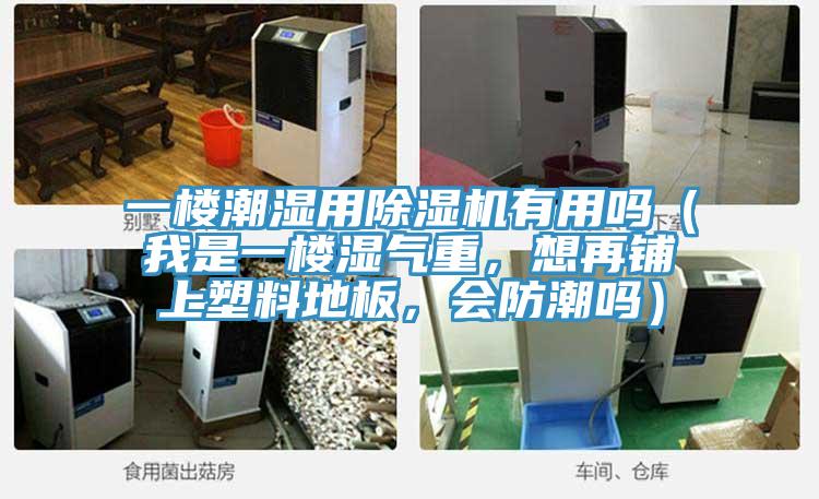 一樓潮濕用除濕機有用嗎（我是一樓濕氣重，想再鋪上塑料地板，會防潮嗎）