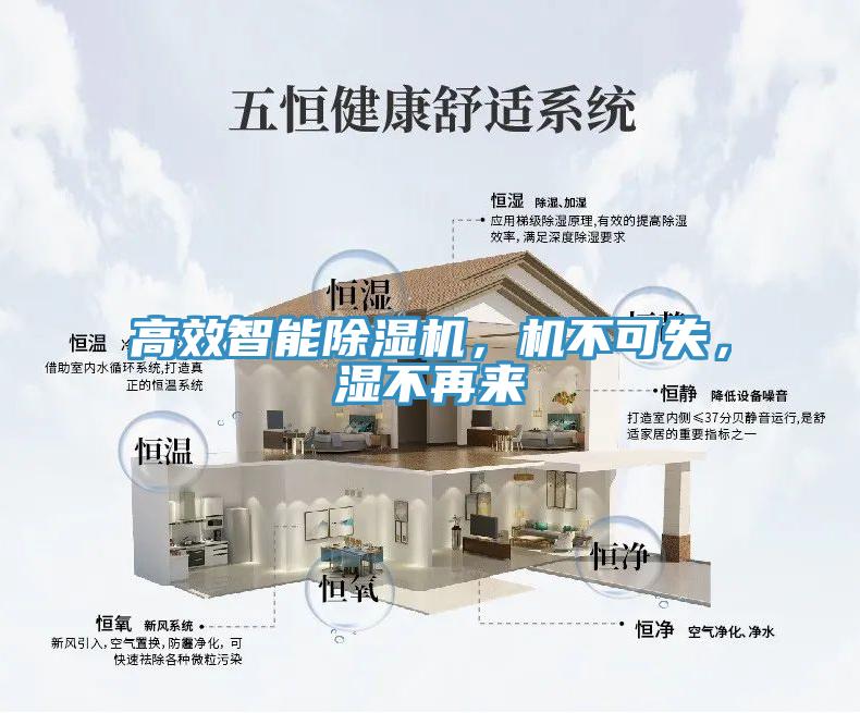 高效智能除濕機(jī)，機(jī)不可失，濕不再來