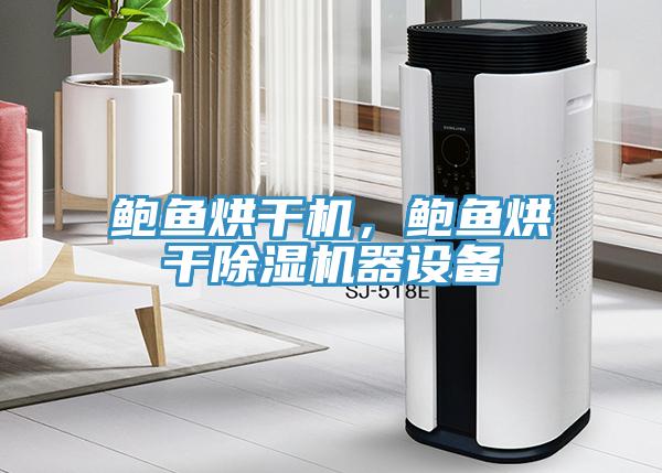 鮑魚(yú)烘干機(jī)，鮑魚(yú)烘干除濕機(jī)器設(shè)備