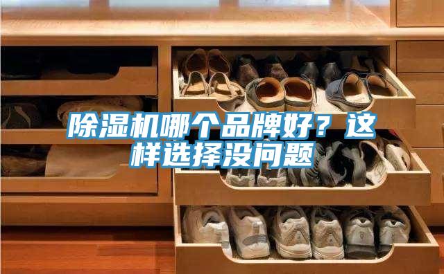 除濕機(jī)哪個品牌好？這樣選擇沒問題