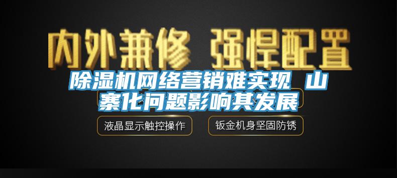 除濕機網絡營銷難實現(xiàn) 山寨化問題影響其發(fā)展