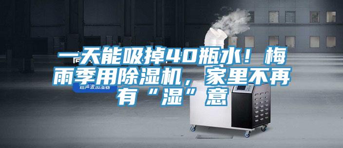 一天能吸掉40瓶水！梅雨季用除濕機，家里不再有“濕”意