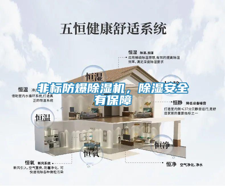 非標(biāo)防爆除濕機(jī)，除濕安全有保障