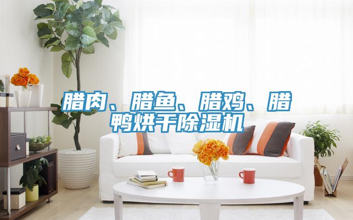 臘肉、臘魚(yú)、臘雞、臘鴨烘干除濕機(jī)