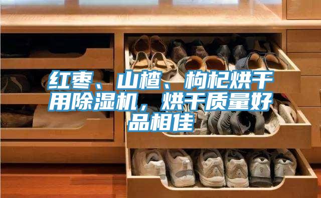 紅棗、山楂、枸杞烘干用除濕機(jī)，烘干質(zhì)量好品相佳