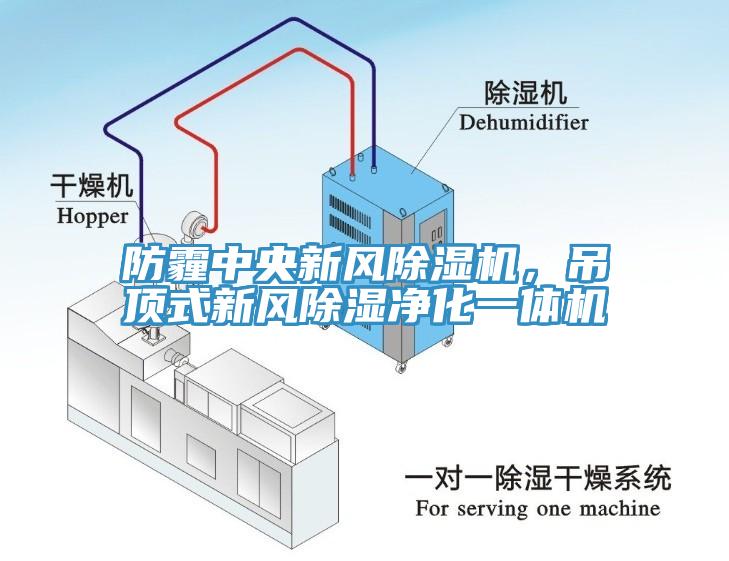 防霾中央新風除濕機，吊頂式新風除濕凈化一體機