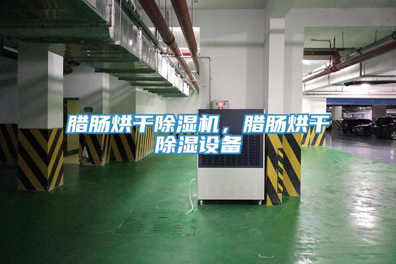 臘腸烘干除濕機(jī)，臘腸烘干除濕設(shè)備