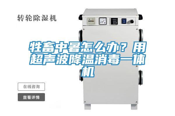 牲畜中暑怎么辦？用超聲波降溫消毒一體機(jī)
